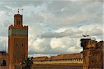 Mosque de la Kasbah with White Storks and Nest on Rooftop, Medina, Marrakesh, Morocco, Africa