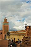 Overview of Mosque de la Kasbah with White Storks Nesting on Rooftop, Medina, Marrakesh, Morocco, Africa
