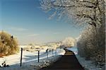 Fence Running Beside Road Through Wooded Area in Winter, near Villingen-Schwenningen, Baden-Wuerttemberg, Germany