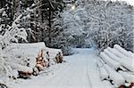 Stacks of Logs by Side of Road in Black Forest in Winter, near Villingen-Schwenningen, Schwarzwald-Baar, Baden-Wuerttemberg, Germany