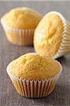 Close-up of Plain Cupcakes, Studio Shot