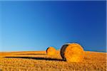 Hay Bale, Province of Siena, Tuscany, Italy