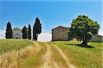 Path to Historic Chapel of Vitaleta and Farmhouse in Summer, San Quirico d'Orcia, Province of Siena, Tuscany, Italy