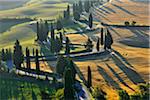 Winding Country Road with Cypress Trees in Summer, Montepulciano, Province of Siena, Tuscany, Italy