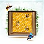 Frame with bees and honeycombs