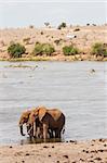 Kenya, Tsavo East National Park. Two elephants with a tourist vehicle on background