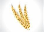 abstract wheat ears vector illustratioin