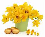 Yellow tulip flowers in a green bucket with golden easter eggs and decorative chicks over white background.