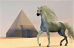 An wild Arabian horse passes by a pyramid in the deserts of Egypt.