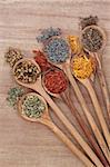Medicinal herb selection in olive wood spoons over papyrus background.