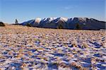 Meadow with Low Tatras in the background, scene from Slovakia