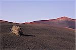 Landscape in Volcanic park Timanfaya on island Lanzarote, Canary Islands