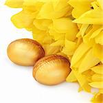 Golden easter eggs with yellow tulip flowers over white background.