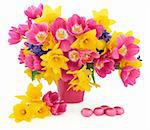 Tulip, daffodil and hyacinth flower arrangement in a pink vase with a chocolate easter egg group over white background.