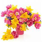 Tulip, daffodil and hyacinth flower arrangement in a pink vase over white background.