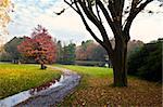 beautiful autumn day in park with colorful trees