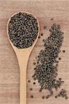 Puy lentils in a wooden spoon over papyrus background.