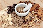 Chinese herb selection with mortar and pestle over mottled background.