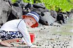 cute little boy playing at the big island beach