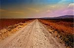 Dirt Road between Plowed Fields in Israel, Sunset