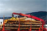 Loading Logs on the Truck