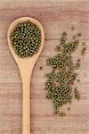 Mung bean pulses in a wooden spoon over papyrus background.