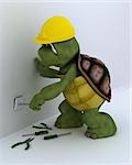 3D render of a tortoise electrical contractor