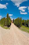 Cypress Alley Leading To the Farmer's House in Tuscany