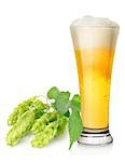 Light beer and hop isolated on white background