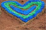symbol of love - colour full heart on soil  background