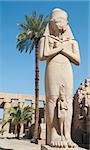 Large famous statue of Ramses in the ancient temple at Karnak Luxor