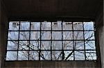 Tree branches behind broken window in abandoned factory interior. Concrete wall and ceiling.