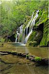 Waterfall cascading over green moss, Cascade des Tufs, Arbois, Jura, Jura Mountains, Franche-Comte, France