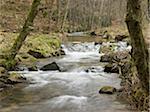 Running Stream and Waterfalls Through Forest in Spring, France