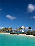 Palm trees on sandbar in tropical water