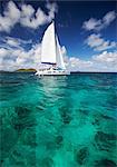 Sailboat in tropical water