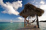 Woman in hammock on tropical water