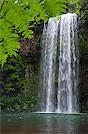 Australia, Queensland, Millaa Millaa.  Millaa Millaa Falls, on the Atherton Tablelands near Cairns.