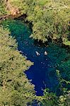 South America, Brazil, Mato Grosso do Sul, Bonito, snorkellers in the Lagoa Misteriosa cenote