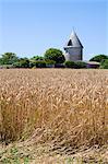 France, Charente Maritime, Ile de Re.  An old windmill now converted into a house outside the village of Ars en Re.