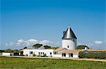 France, Charente Maritime, Ile de Re.  View across a field towards  the tower of an old windmill now converted into a house just outside the village of Ars en Re.