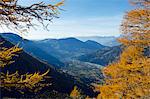 Europe, France, French Alps, Haute Savoie, Chamonix, autumn colours in Chamonix valley