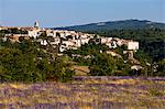 View of lavender and Sault, Vaucluse, Provence, France