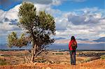 Greece, Kos, Southern Europe. A tourist looking at the scenery. MR