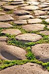 Detail of ancient roman pavement, Rome, Lazio, Europe.