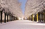 Italy, Umbria, Terni district, Terni, passeggiata, public garden in winter.