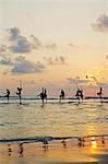 Sri Lanka, Dalawella, Indian Ocean, stilt fishermen, sunset