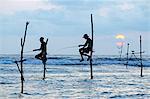 Sri Lanka, Dalawella, Indian Ocean, stilt fishermen, sunset