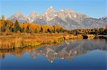 Schwabacher Landing on the Snake River, Teton Range, Grand Teton National Park, Wyoming, USA