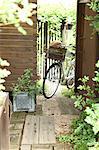 Bicycle in a garden